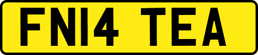 FN14TEA