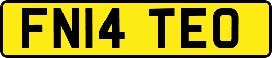FN14TEO