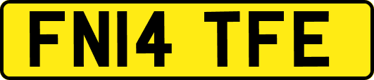 FN14TFE