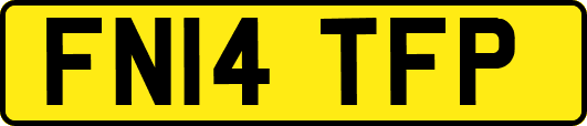 FN14TFP