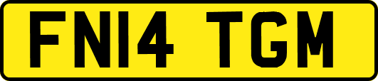 FN14TGM