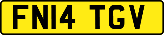 FN14TGV