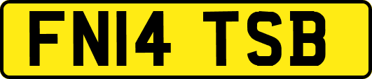 FN14TSB