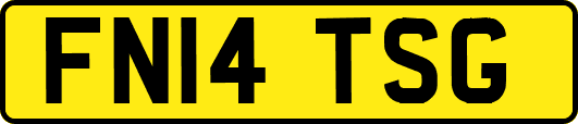 FN14TSG