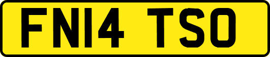 FN14TSO