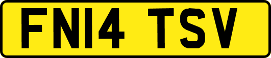 FN14TSV