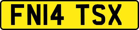 FN14TSX