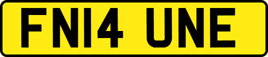FN14UNE