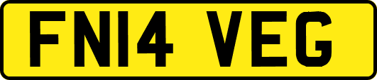 FN14VEG
