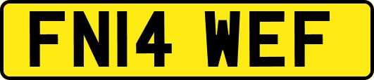 FN14WEF