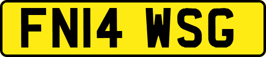 FN14WSG