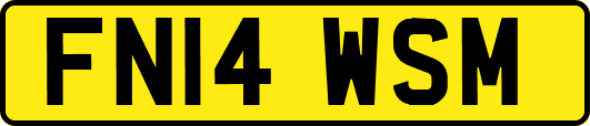 FN14WSM