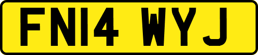 FN14WYJ