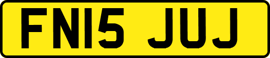 FN15JUJ