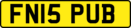 FN15PUB