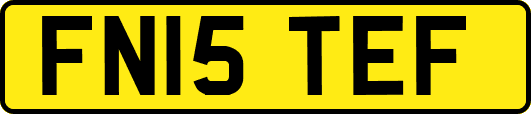 FN15TEF