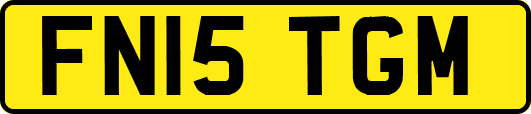 FN15TGM