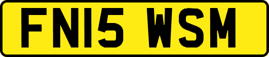 FN15WSM