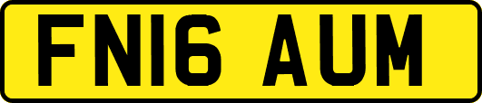 FN16AUM