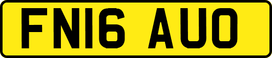 FN16AUO