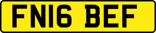 FN16BEF