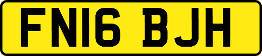 FN16BJH