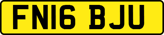 FN16BJU