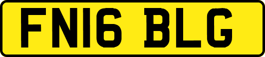 FN16BLG