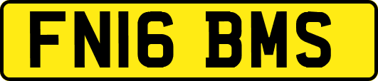 FN16BMS