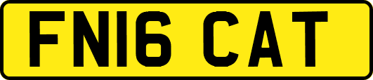 FN16CAT
