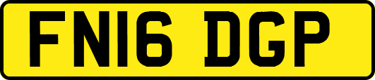 FN16DGP