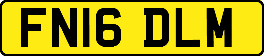 FN16DLM