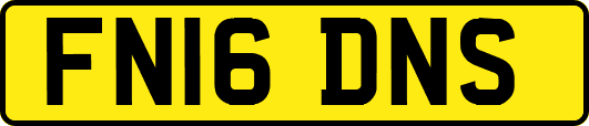 FN16DNS