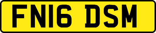 FN16DSM