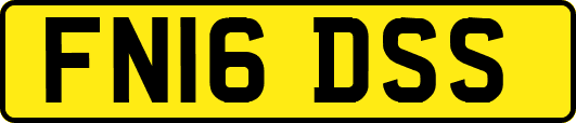FN16DSS