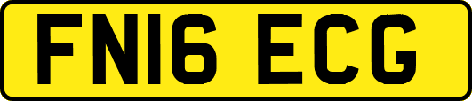 FN16ECG