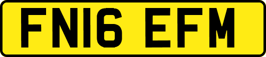 FN16EFM