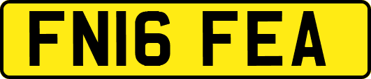 FN16FEA