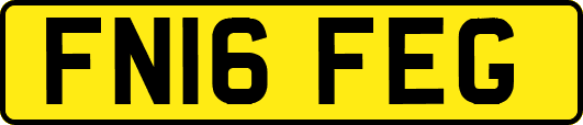 FN16FEG