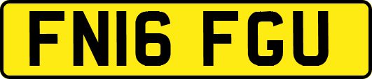 FN16FGU