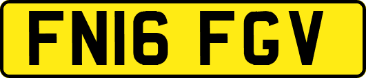 FN16FGV