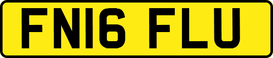 FN16FLU