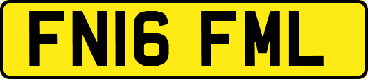 FN16FML