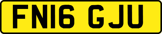 FN16GJU