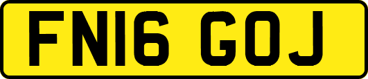 FN16GOJ