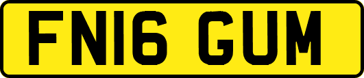 FN16GUM