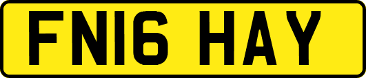 FN16HAY