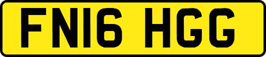 FN16HGG