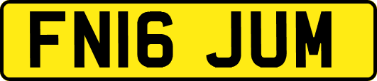 FN16JUM