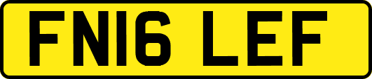 FN16LEF